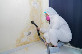 Best Residential Mold Inspection & Testing in Latrobe, PA